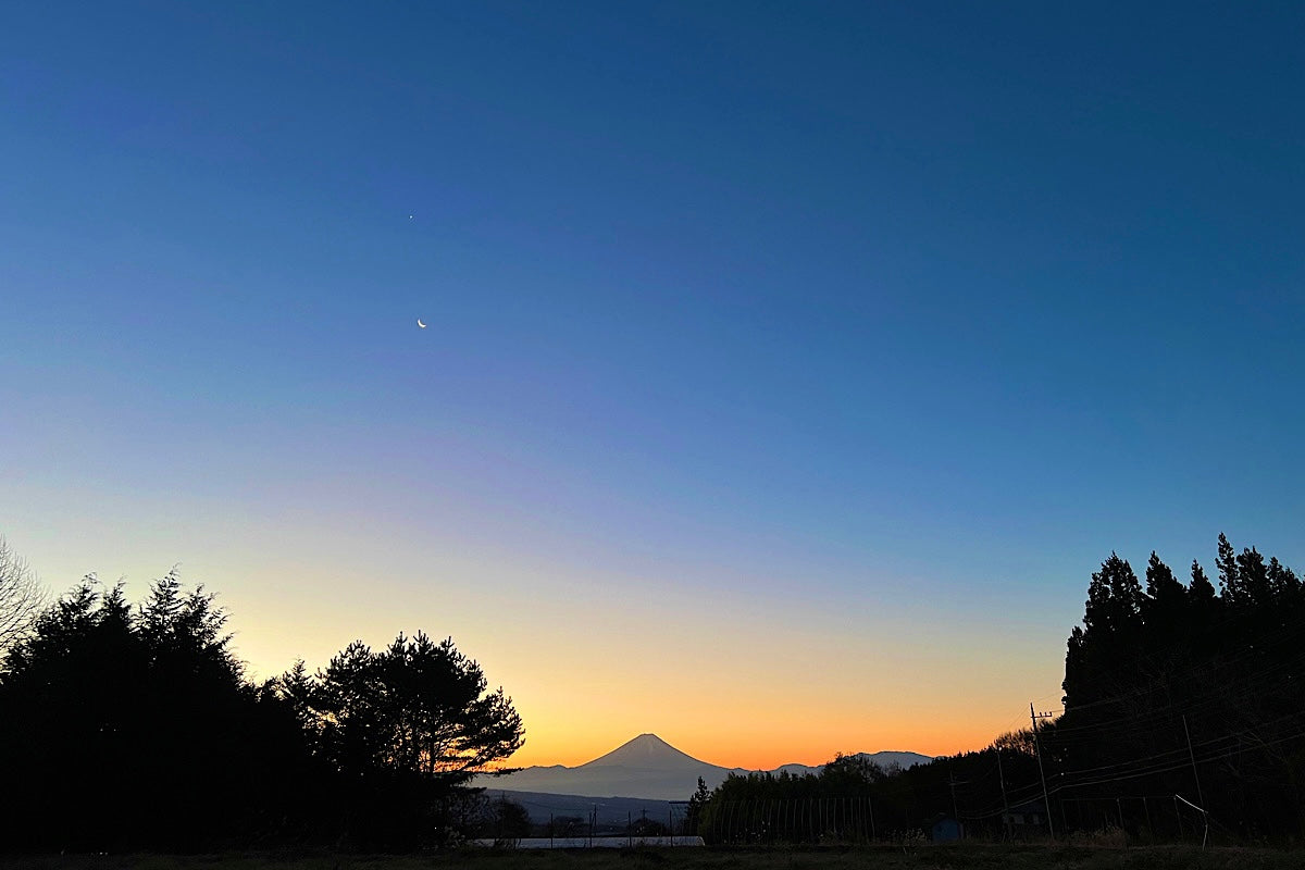 年末年始の営業・発送について