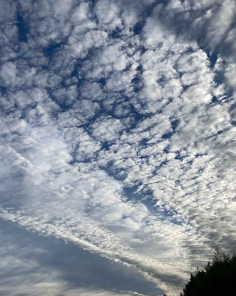 空