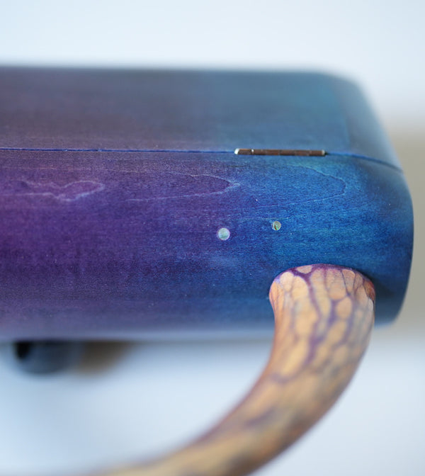 樹の鞄 　夜明け　2024