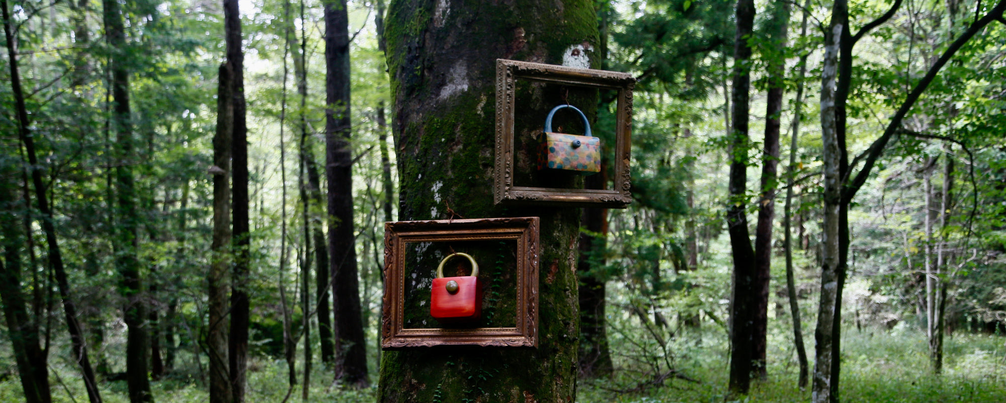wooden bags in forest